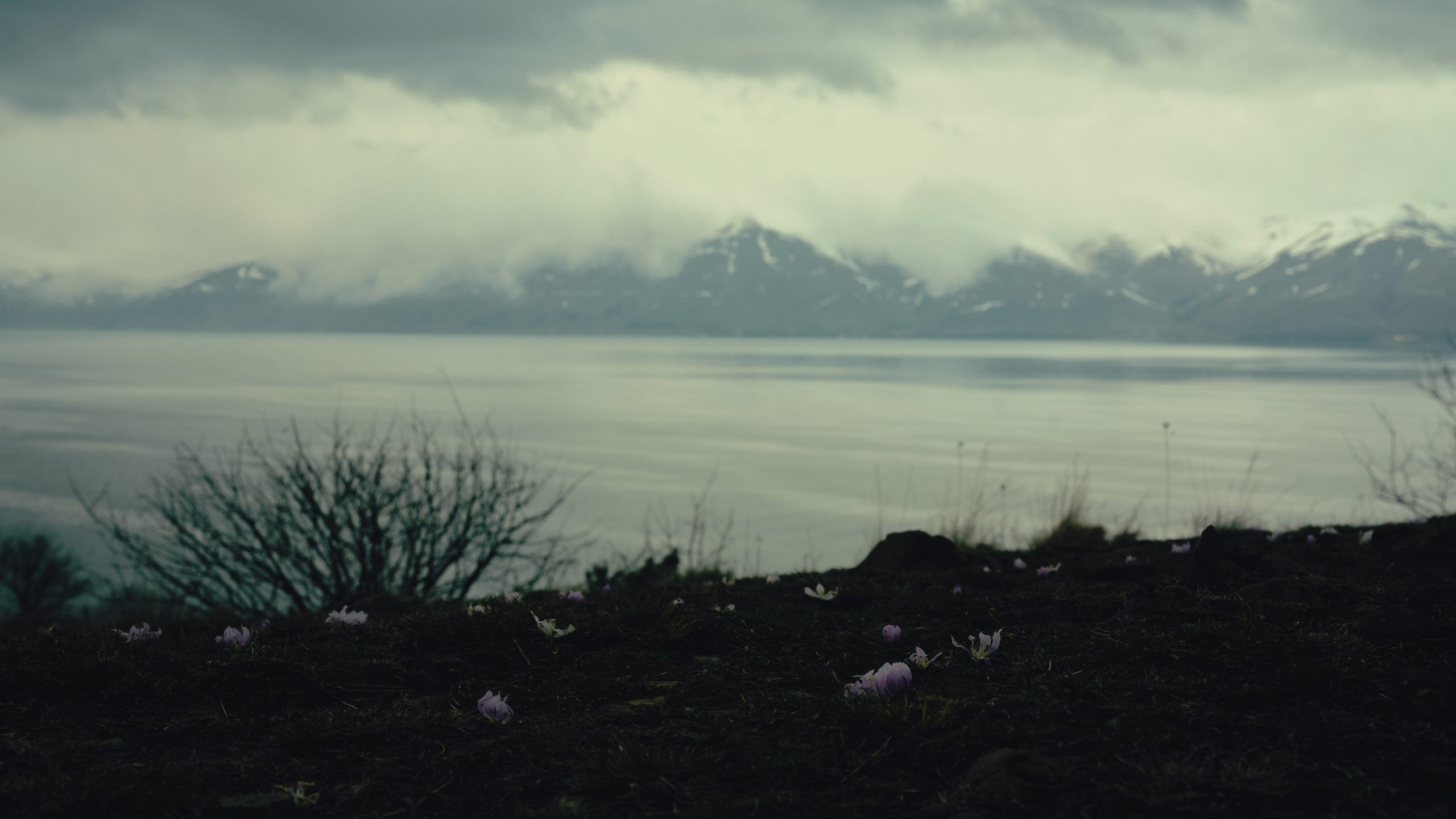 Travel photograph from Sakartvelo, Georgia, shot on medium format - frame 6