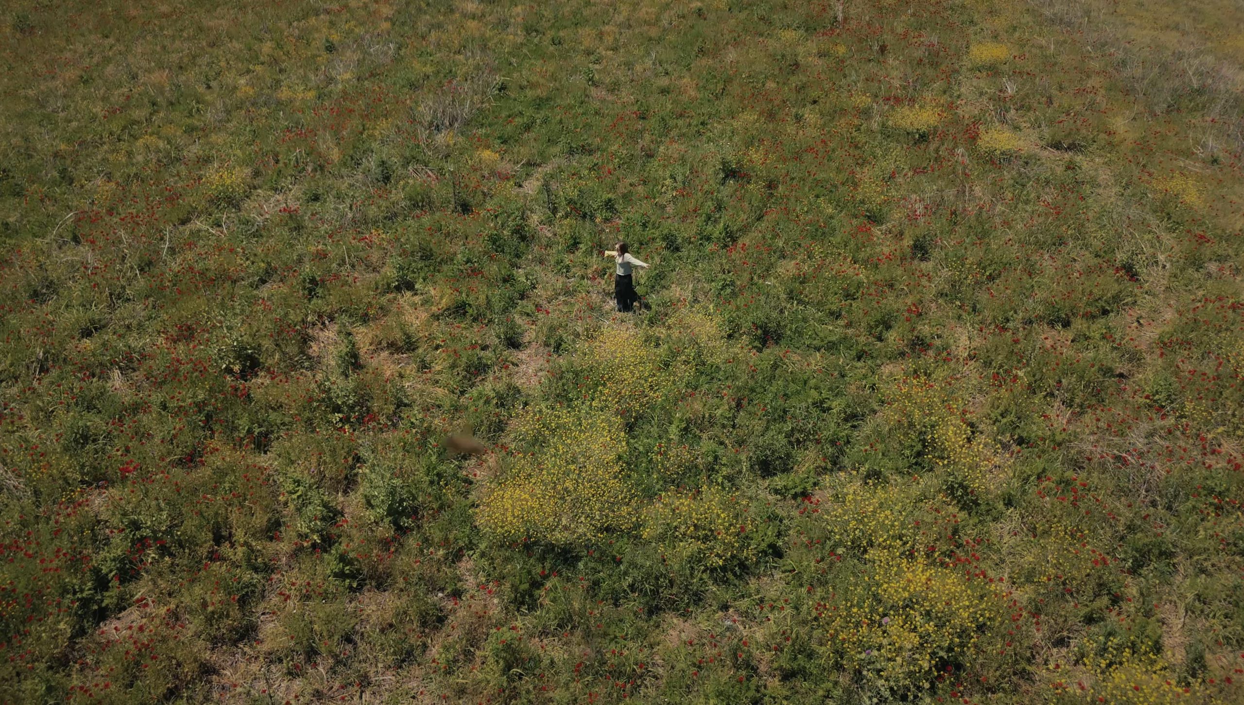 Travel photograph from Sakartvelo, Georgia, shot on medium format - frame 21