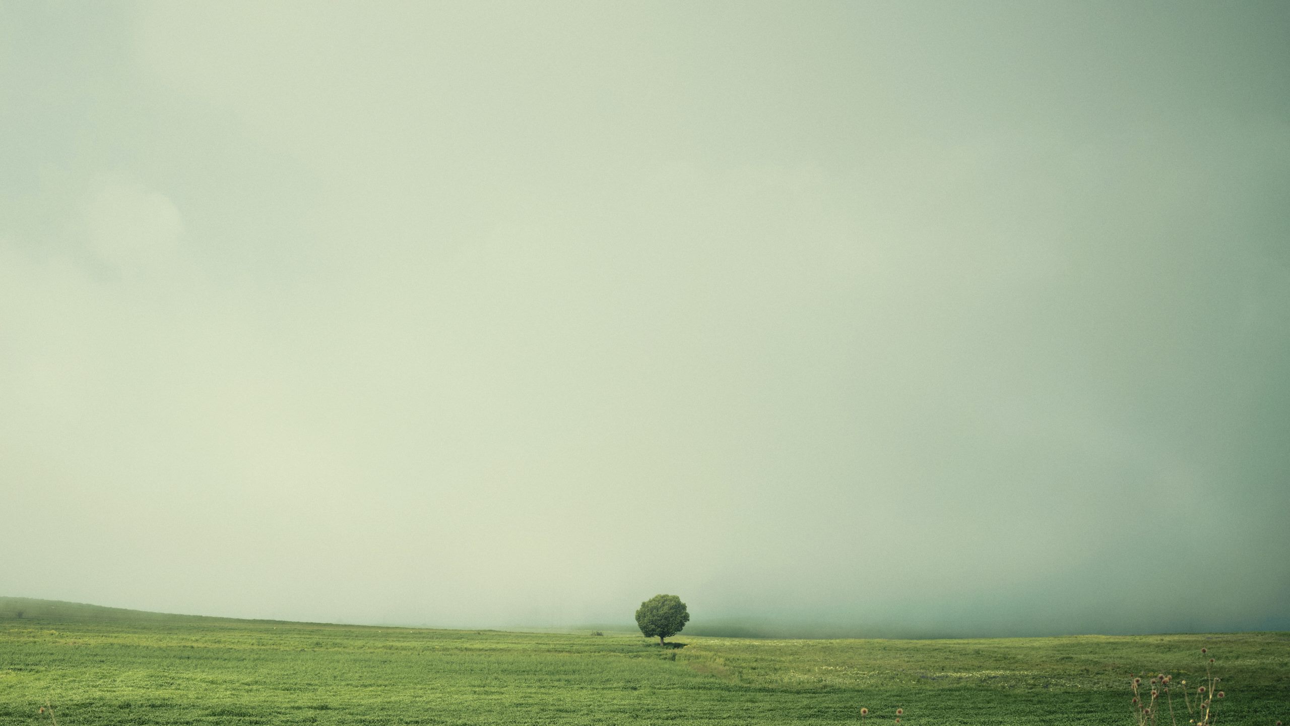 Travel photograph from Sakartvelo, Georgia, shot on medium format - frame 47